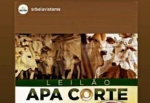 Notícia Urgente: Leilão APA Corte acontece em Bela Vista na sexta-feira
