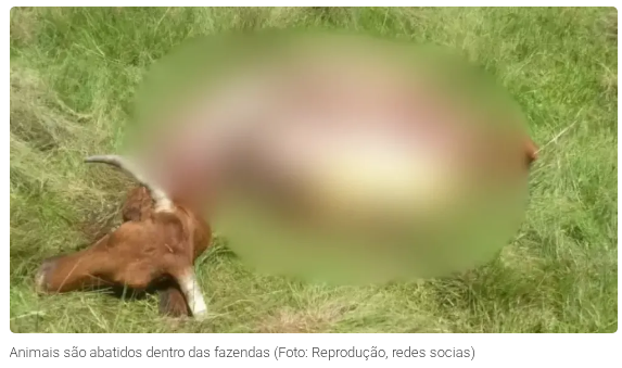 Sem título