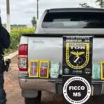 Ação conjunta prende casal com oito quilos de cocaína na fronteira
