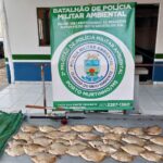 Idosos são multados por pesca predatória em MS