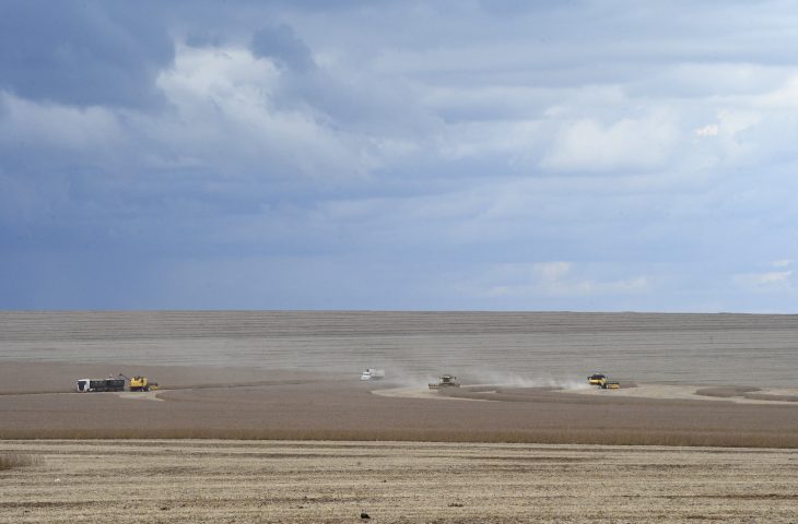 agro
