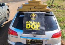 DOF apreende carro que seguia para Jardim com drogas