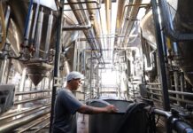 Mato Grosso do Sul empregou 3.087 trabalhadores formais em maio e no ano já supera 20,8 mil novas vagas