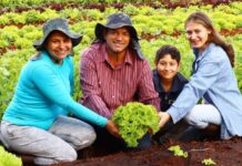 Novo recorde nas vendas da agricultura familiar é projetado após movimentação de R$ 5,1 milhões em MS