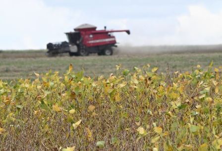 Começa plantio da maior safra de soja de Mato Grosso do Sul, com expectativa de colher 15 milhões