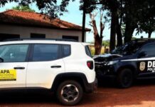 Fábrica clandestina de bebidas alcoólicas é interditada em Terenos
