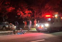Motorista atropela anta, invade pista e deixa cinco feridos em MS