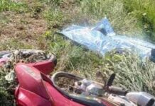 Motociclista morre em grave acidente na MS-384 entre Antônio João e Bela Vista