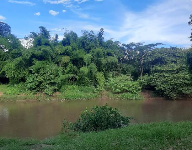 margem rio apa