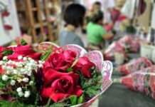 Procon de Mato Grosso do Sul divulga pesquisa sobre flores e autocuidado