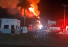 Aparecida do Taboado : Funcionário é preso após incendiar fábrica onde trabalhava