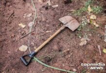 Homem é atingido na cabeça com pá após bater na esposa