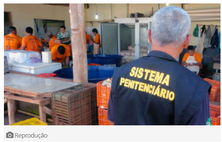 Sem título3456789