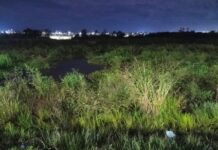 Ribas do Rio Pardo: Mulher é resgatada após ficar cerca de três horas presa em brejo