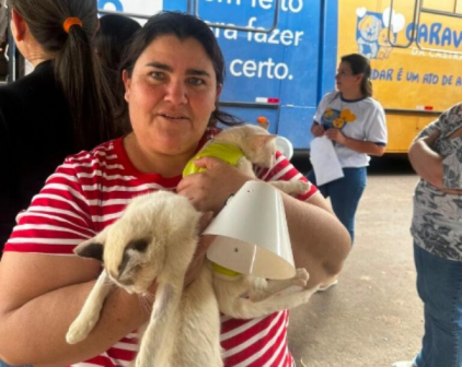 Sem título567890000