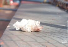 Filho agride mãe com socos e chutes e quebra dentes da vítima em MS