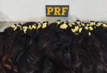 PRF apreende mala com 18,1 quilos de cabelo humano em ônibus na BR-262