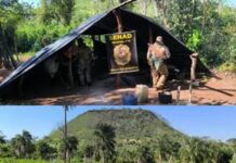 SENAD apreende quase 12 toneladas de maconha em operação em Bella Vista Norte