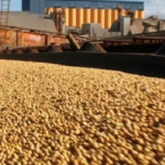 Exportações de Mato Grosso do Sul chegam a US$ 7,2 bilhões