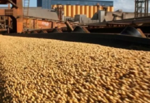 Exportações de Mato Grosso do Sul chegam a US$ 7,2 bilhões