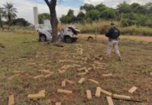 Fuga de abordagem acaba em acidente e drogas espalhadas pela pista em MS