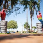 Jardim: Praça Evandro Bazzo recebe esculturas de araras e onça-pintada