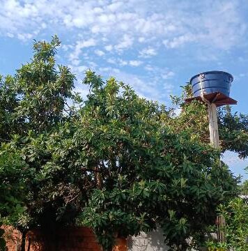Quarta-feira de futsal terá tempo firme em Bela Vista