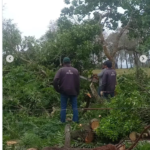 Chuva forte e ventania causam estragos em Bela Vista durante a noite