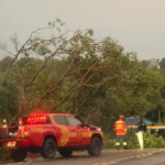 BR-262 registra diversas quedas de árvores após temporal em Anastácio